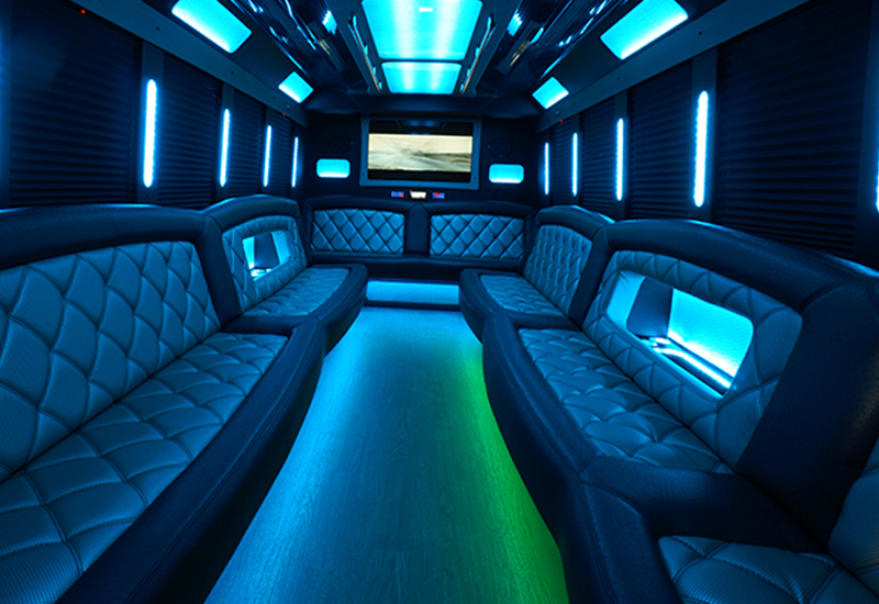 fiber optic lights